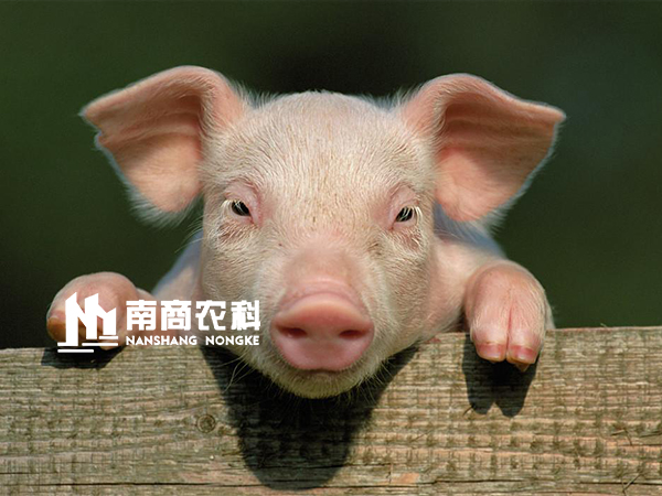 下一篇