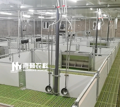 南商農科：四川資陽規模21600頭高樓養殖母豬場