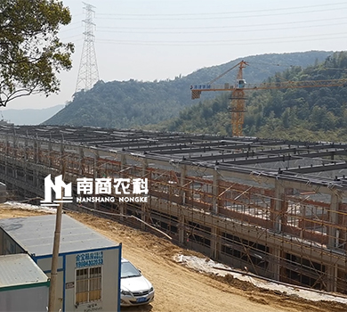 南商農科：浙江湖州高樓年出欄10萬頭豬場