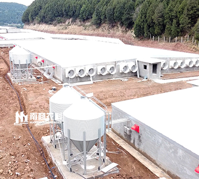 南商農科：四川鹽亭規模24000頭育肥豬場