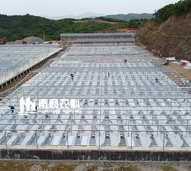 南商農科：湖北孝感大悟縣規模1200頭種豬場