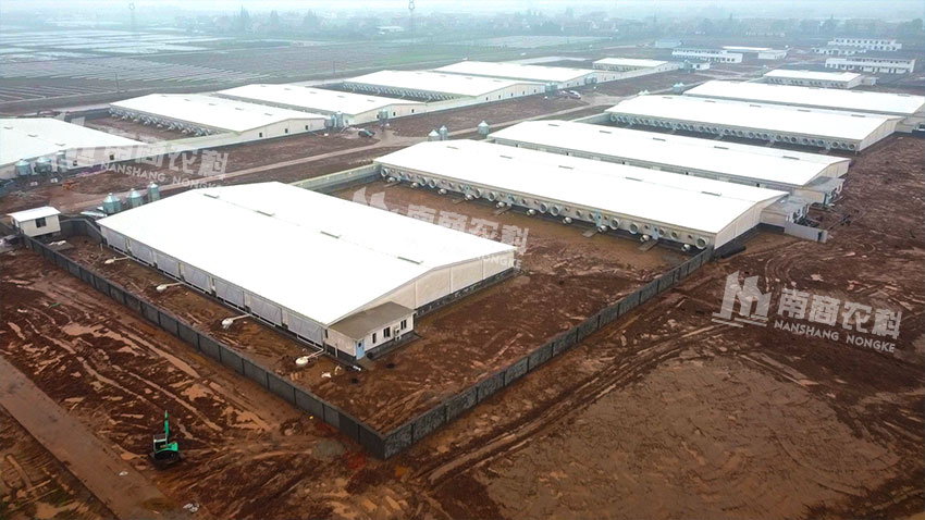 湖南常德4800頭自繁自養項目