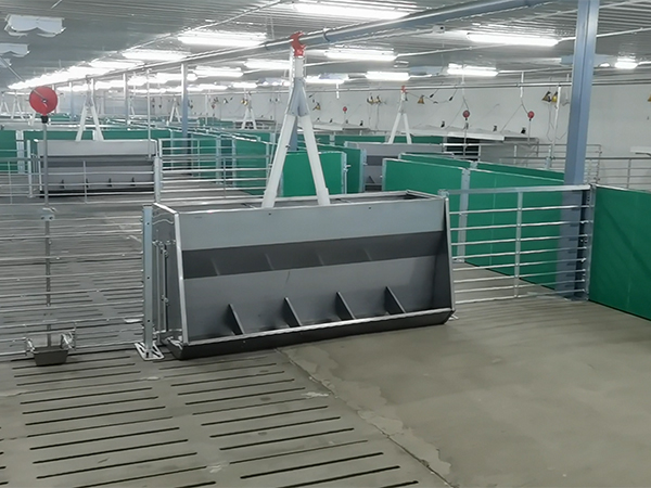 自動(dòng)化養(yǎng)豬食槽的優(yōu)勢(shì)