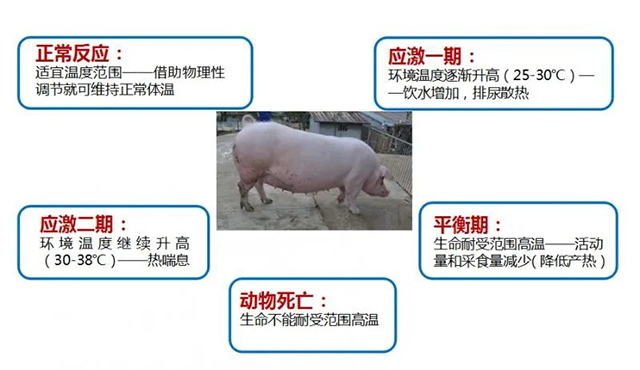 上一篇