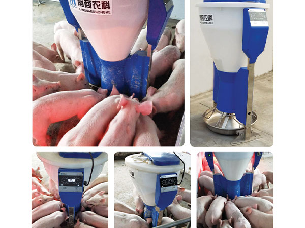 豬企公布養(yǎng)豬數(shù)據(jù)，養(yǎng)豬成本控制應(yīng)該注意這幾點