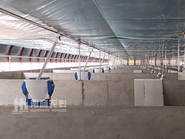 大型養豬場都是給仔豬選擇什么自動料槽呢？