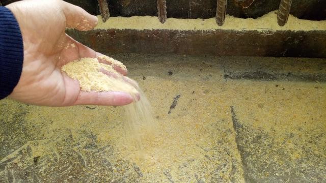 干料、粥料和水料形態(tài)的飼料對豬群的影響