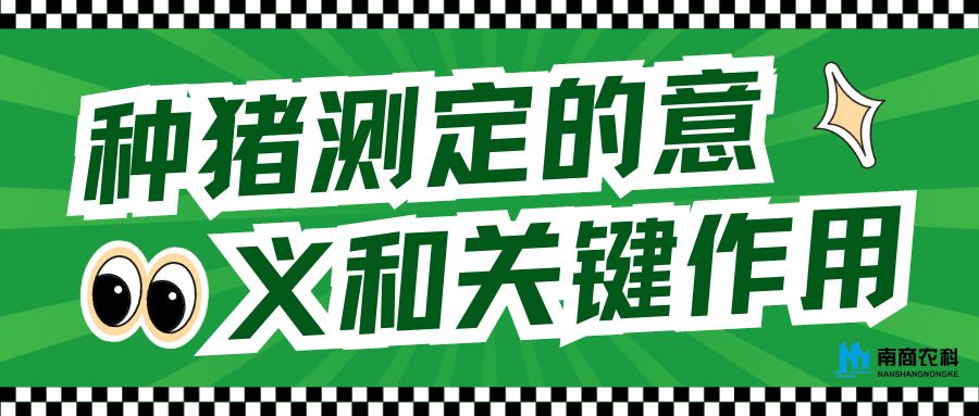 種豬測定的意義和關鍵作用